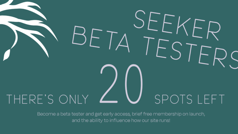 We Need Beta Seekers!